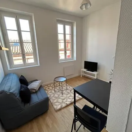 Le Cygne Blanc Hypercentre Rue Riquet Apartment *