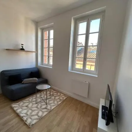 Lägenhet Le Cygne Blanc Hypercentre Rue Riquet Toulouse