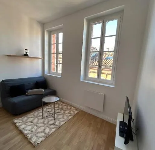 Appartamento Le Cygne Blanc Hypercentre Rue Riquet