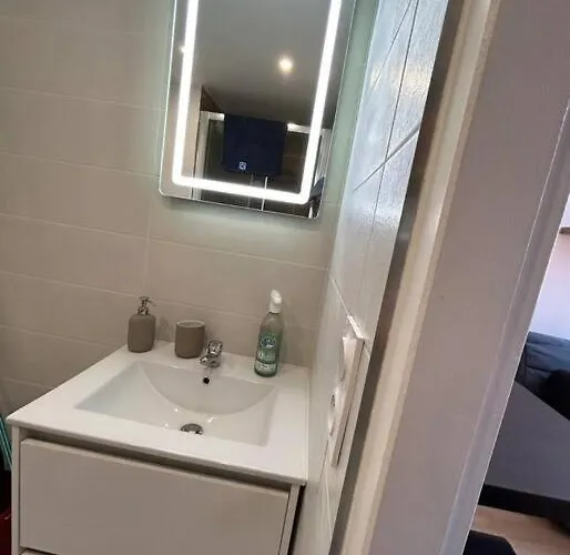 Le Cygne Blanc Hypercentre Rue Riquet Apartment *