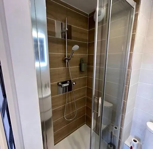 Le Cygne Blanc Hypercentre Rue Riquet * Tolosa