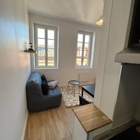Le Cygne Blanc Hypercentre Rue Riquet Apartment Toulouse