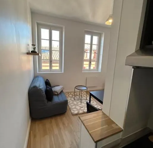 Le Cygne Blanc Hypercentre Rue Riquet Appartamento Tolosa